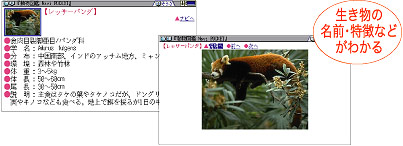 �������̖��O�E�����Ȃǂ��킩��