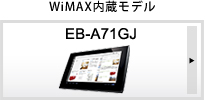 WiMAXf