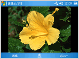 �摜