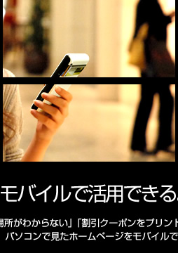 �C���^�[�l�b�g�����o�C���Ŋ��p�ł���B